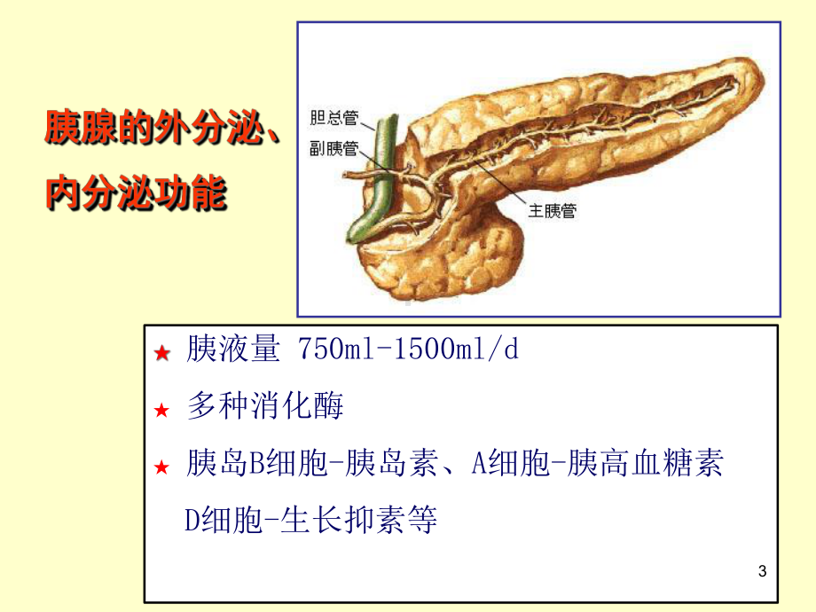 胰腺肿瘤病变的影像学诊断学习课件.ppt_第3页