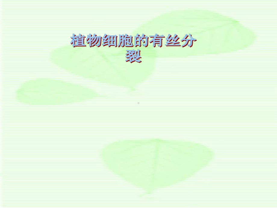 植物有丝分裂课件1.ppt_第1页