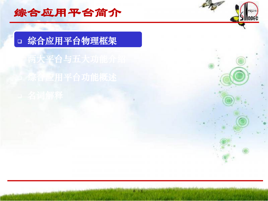 中国石化SAPHR—综合应用功能平台课件.ppt_第3页