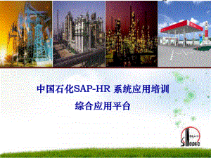 中国石化SAPHR—综合应用功能平台课件.ppt