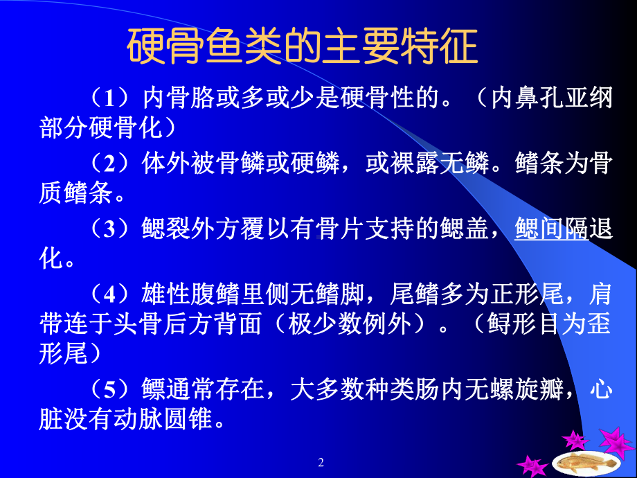 硬骨鱼纲概述课件.ppt_第2页