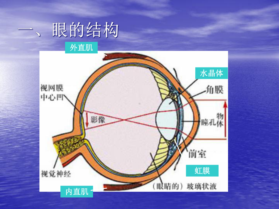 特殊儿童教育课件.ppt_第3页