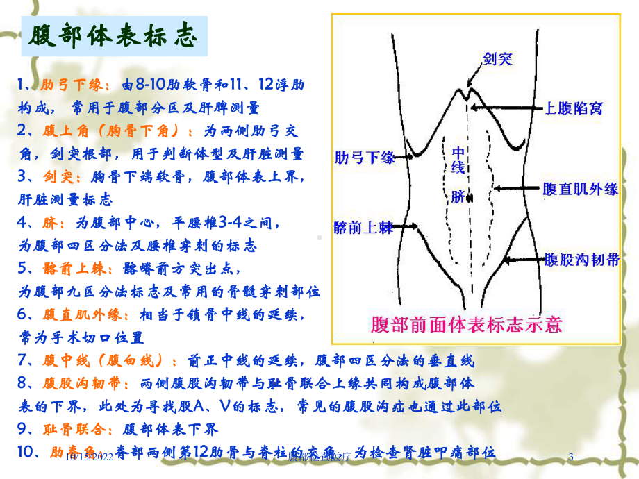 腹部检查医疗培训课件.ppt_第3页