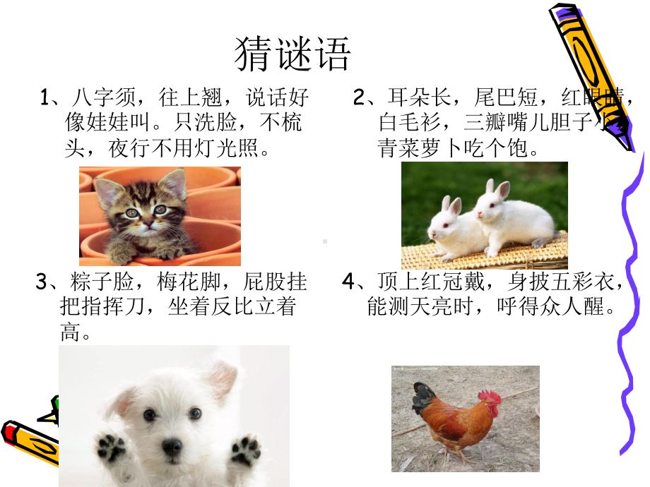 我喜欢的小动物131905课件1.ppt_第2页