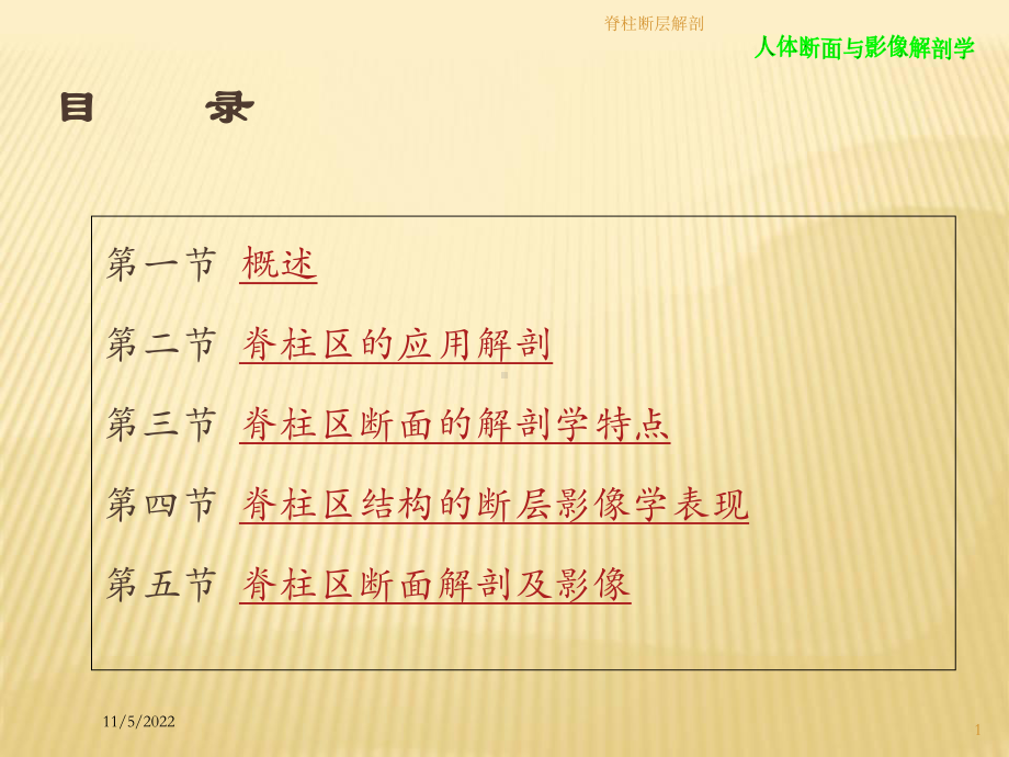 脊柱断层解剖培训课件.ppt_第1页