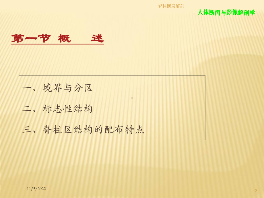 脊柱断层解剖培训课件.ppt_第2页