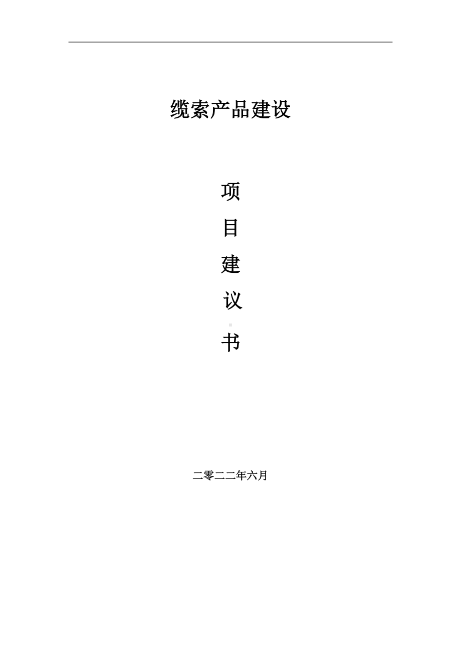 缆索产品项目建议书（写作模板）.doc_第1页