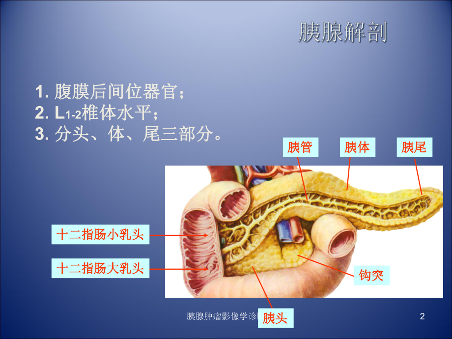 胰腺肿瘤影像学诊断培训课件.ppt_第2页