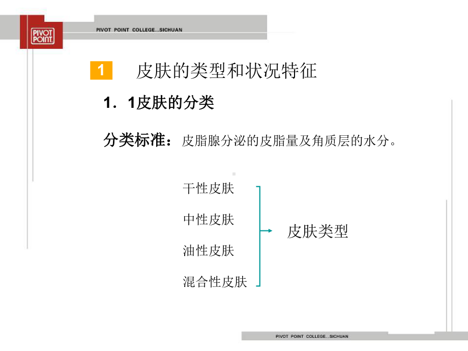 面部皮肤护理计划设计课件.pptx_第3页