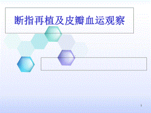 断指再植及血运观察医学课件.ppt