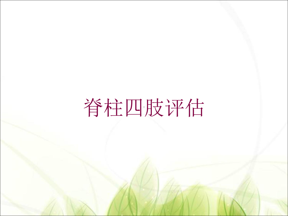 脊柱四肢评估培训课件.ppt_第1页