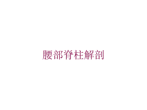 腰部脊柱解剖培训课件.ppt