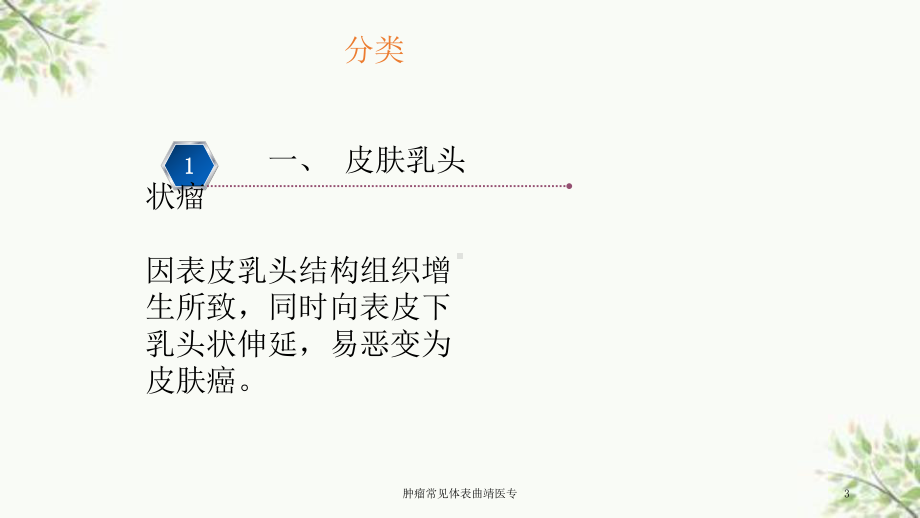 肿瘤常见体表曲靖医专课件.ppt_第3页