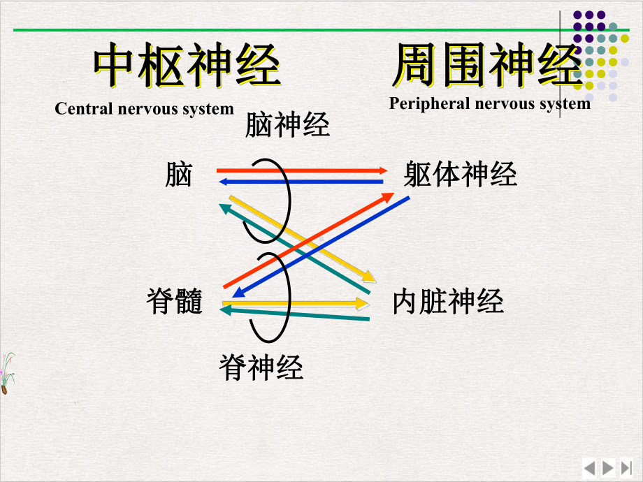 进修医师定位诊断周围神经精选课件.pptx_第1页