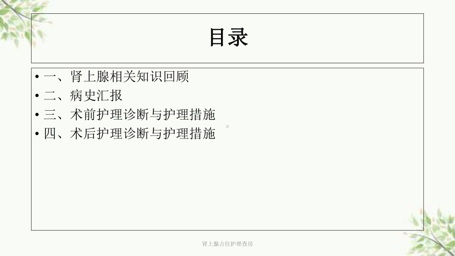 肾上腺占位护理查房课件.ppt_第2页