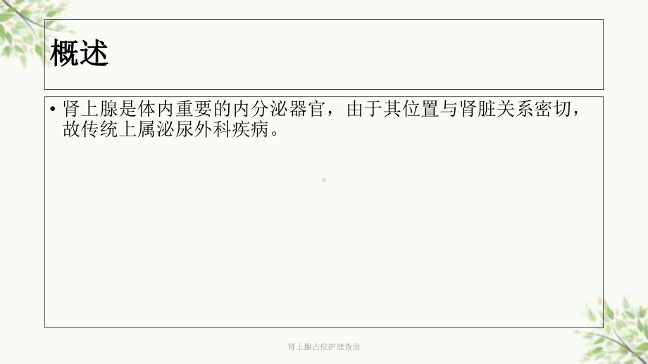 肾上腺占位护理查房课件.ppt_第3页