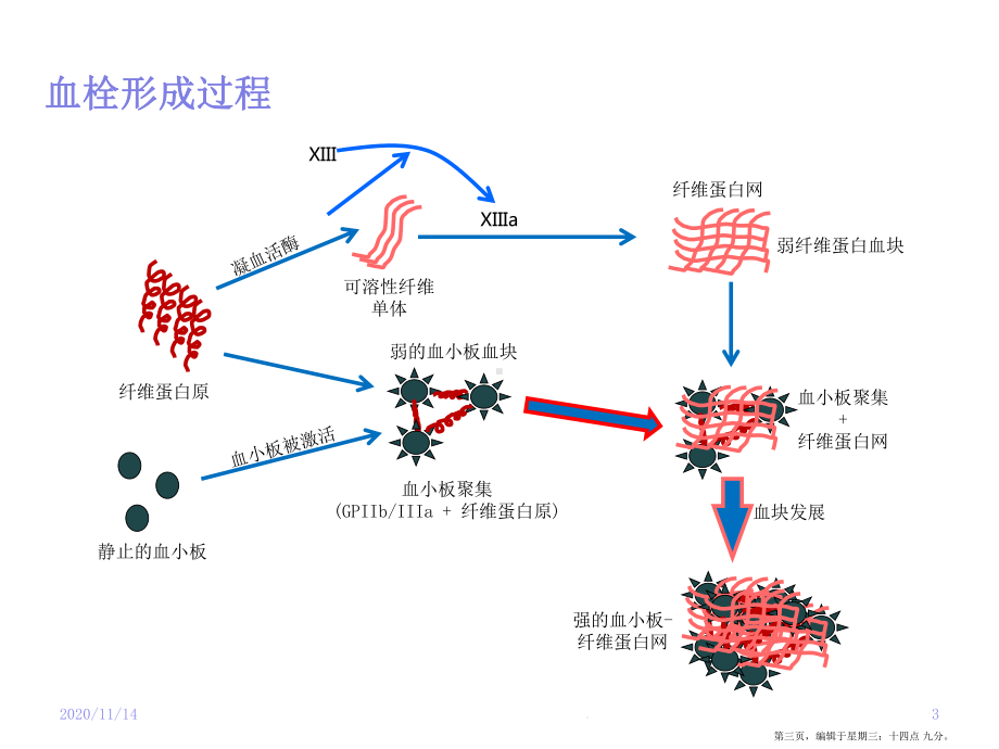 血栓形成与溶栓基本知识大略复习课件.ppt_第3页