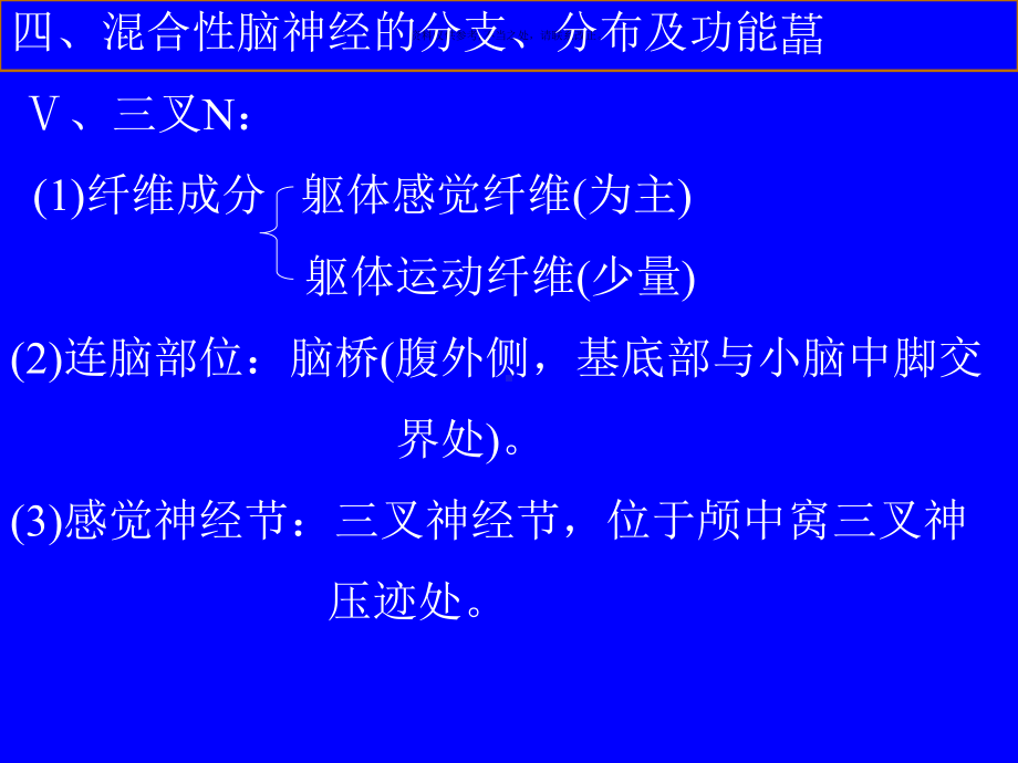 脑神经医学宣教课件.ppt_第3页