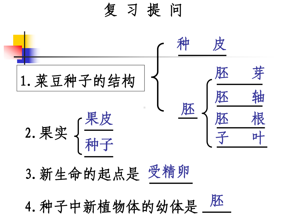 开花和结果(讲课课件).ppt_第1页