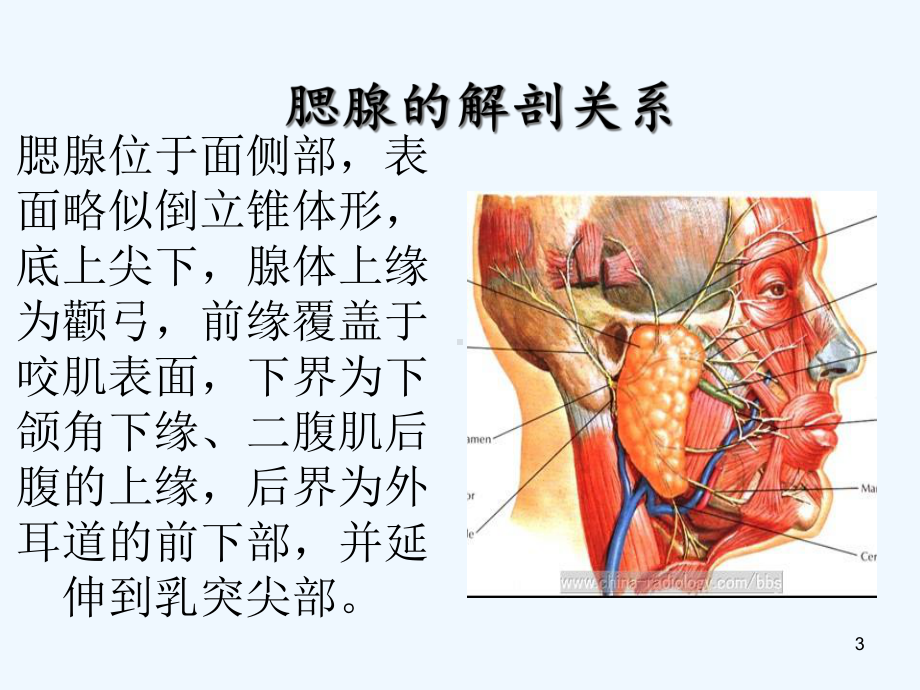 腮腺肿瘤模板课件.ppt_第3页