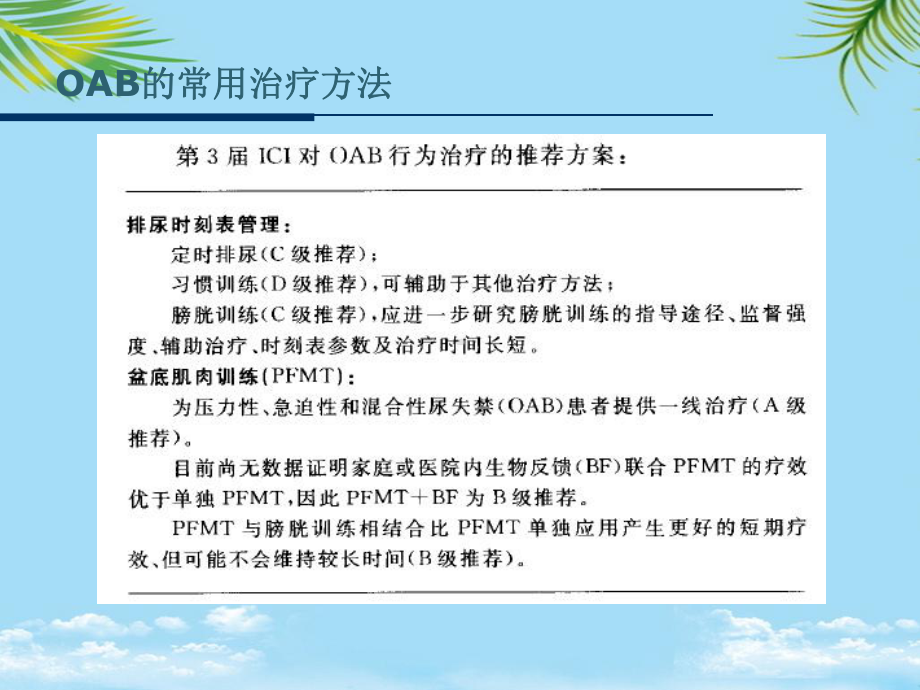 顽固性OAB的治疗课件.ppt_第3页