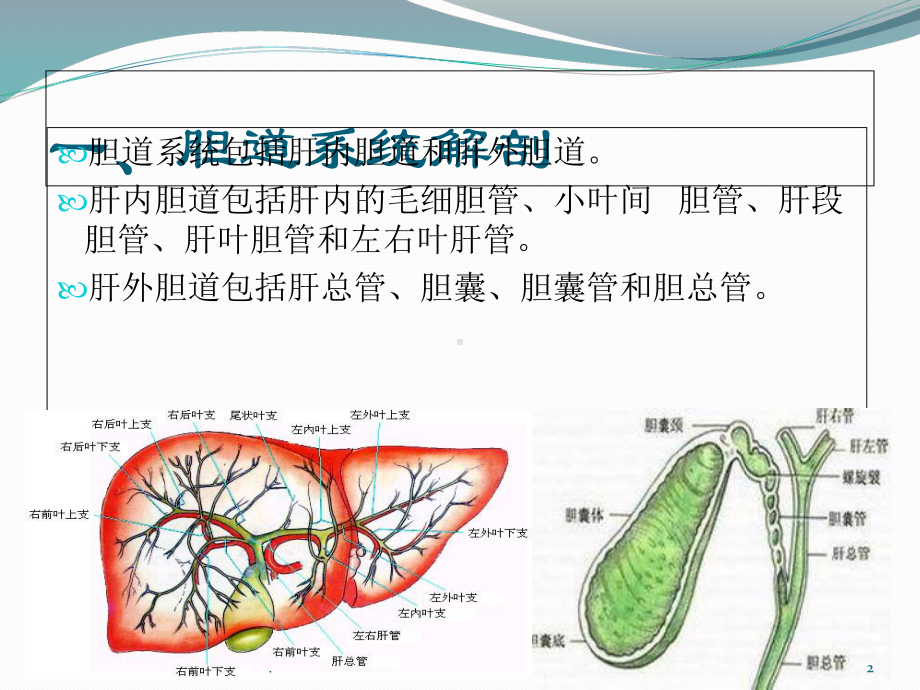 胆道系统超声诊断医学课件.ppt_第2页