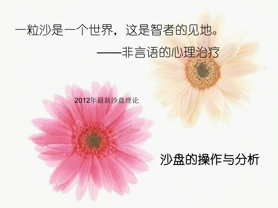 沙盘理论课件.ppt_第1页