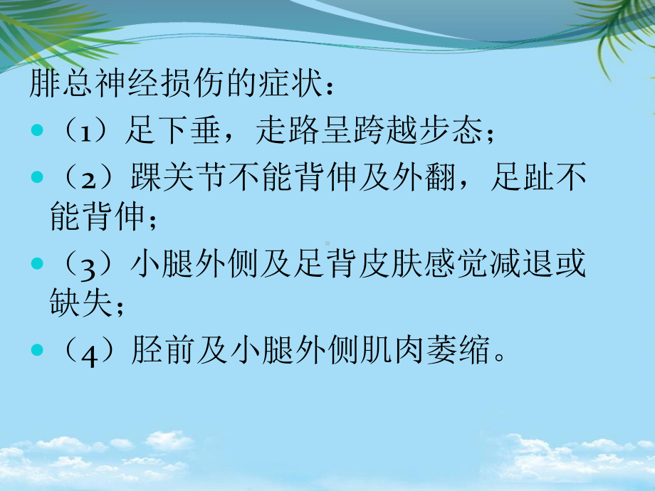 腓总神经受损和护理课件.ppt_第2页