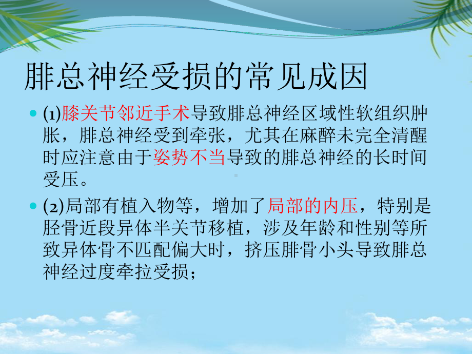 腓总神经受损和护理课件.ppt_第3页