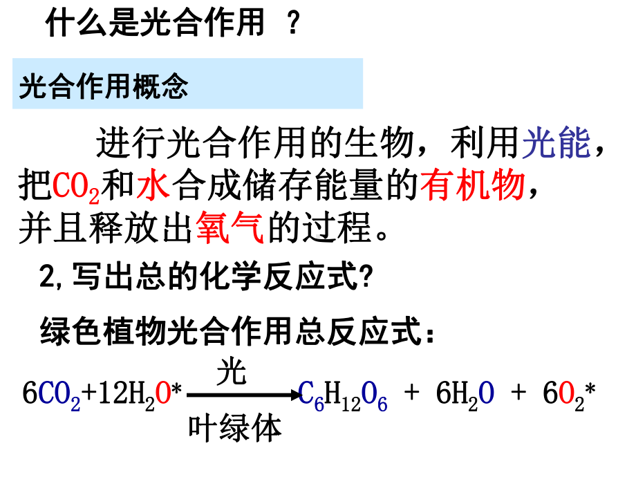 生态系统中的生产量和生物量课件.ppt_第1页