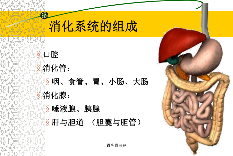 胃炎胃溃疡课件.ppt_第3页