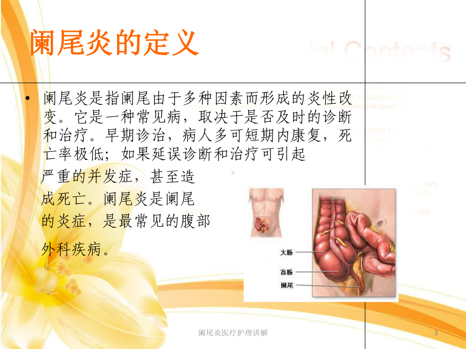 阑尾炎医疗护理讲解培训课件.ppt_第3页