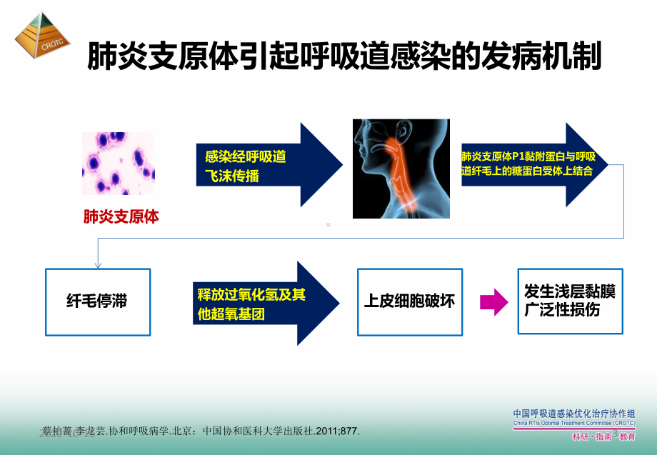 非典型病原体在呼吸道感染治疗中的新挑战参考课件.ppt_第3页