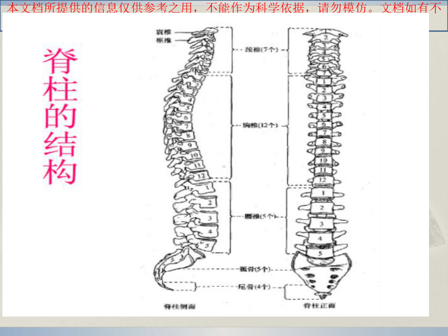 脊髓炎康复专业知识讲座培训课件.ppt_第3页