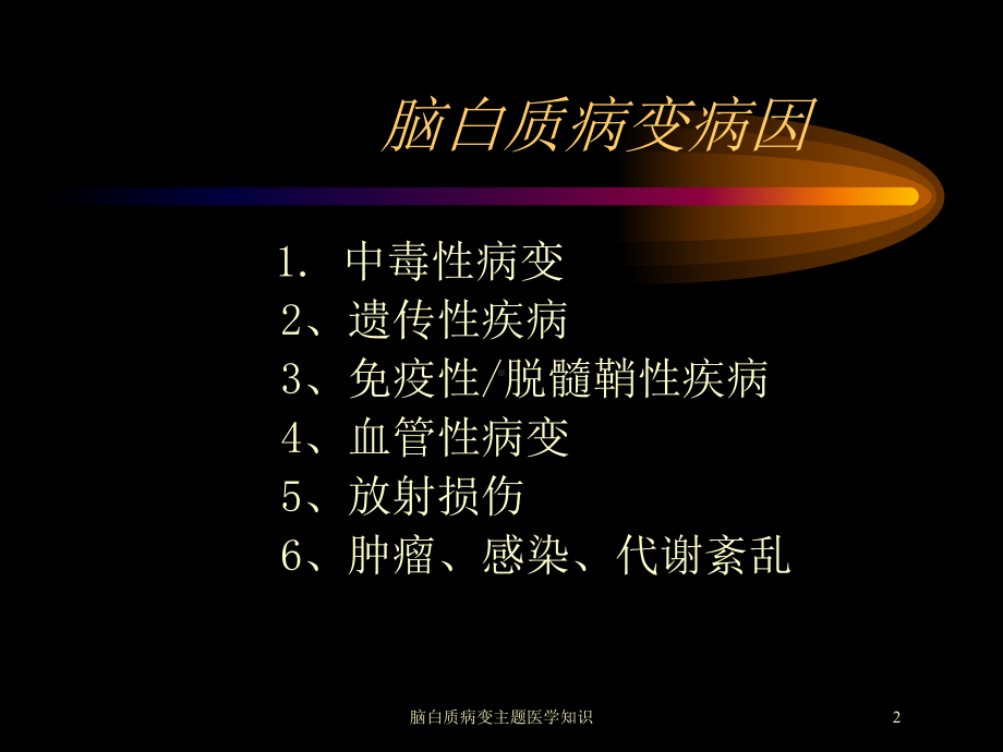 脑白质病变主题医学知识培训课件.ppt_第2页