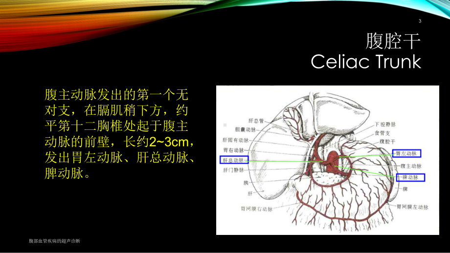 腹部血管疾病的超声诊断培训课件.ppt_第3页