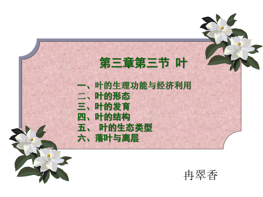 植物学第三章第三节叶课件.ppt_第1页