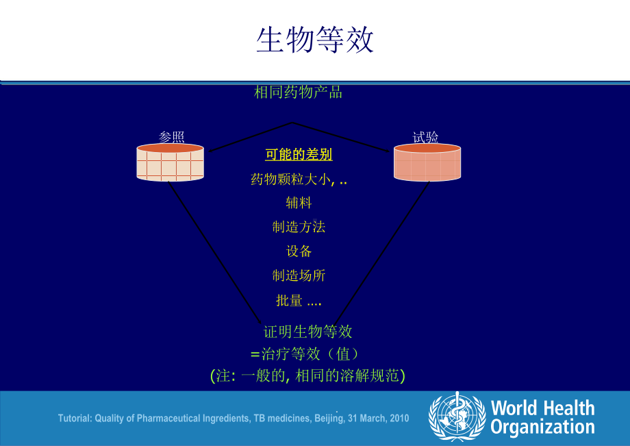 抗结核药生物等效性的展示课件.ppt_第3页