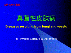 真菌性皮病课件.ppt