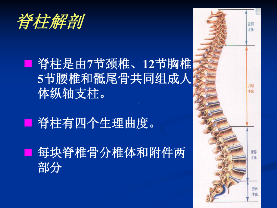 脊柱骨折固定与搬运课件.ppt_第3页