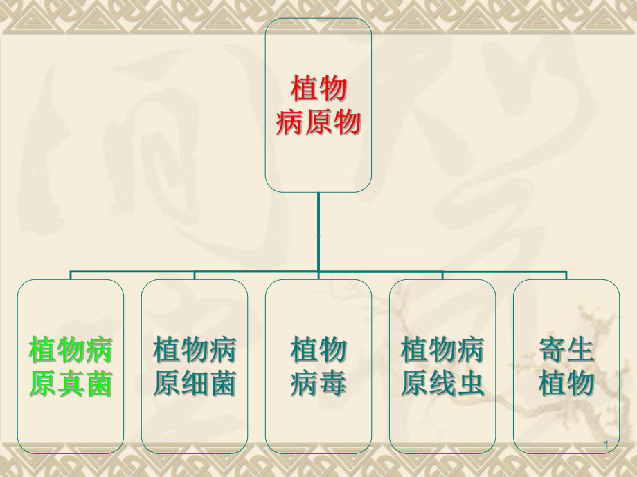 植物病原细菌教学课件.ppt_第1页