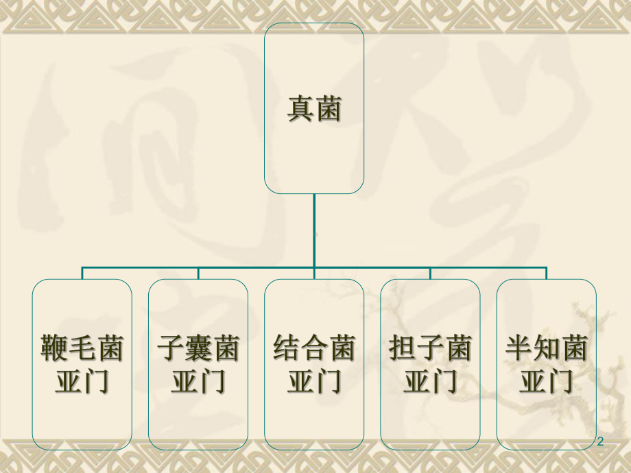 植物病原细菌教学课件.ppt_第2页