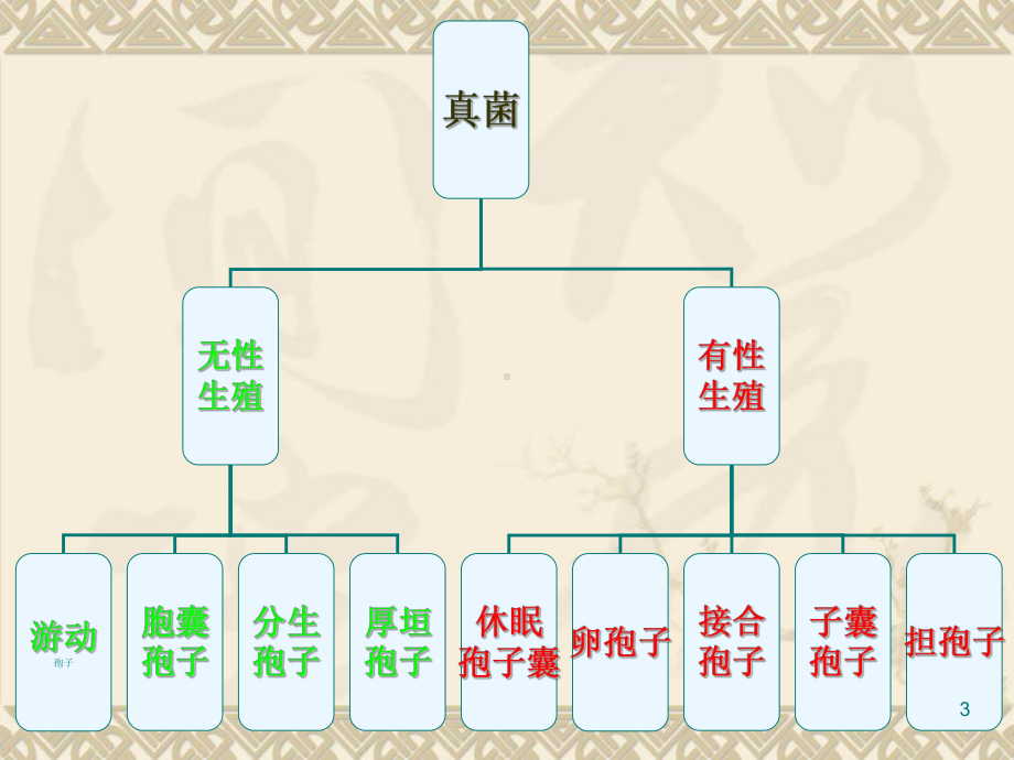 植物病原细菌教学课件.ppt_第3页