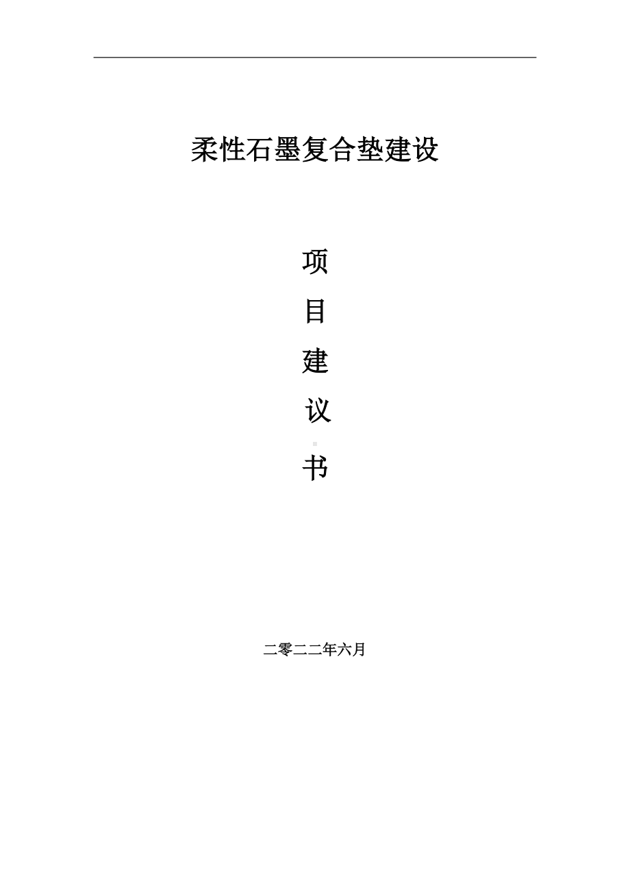 柔性石墨复合垫项目建议书（写作模板）.doc_第1页