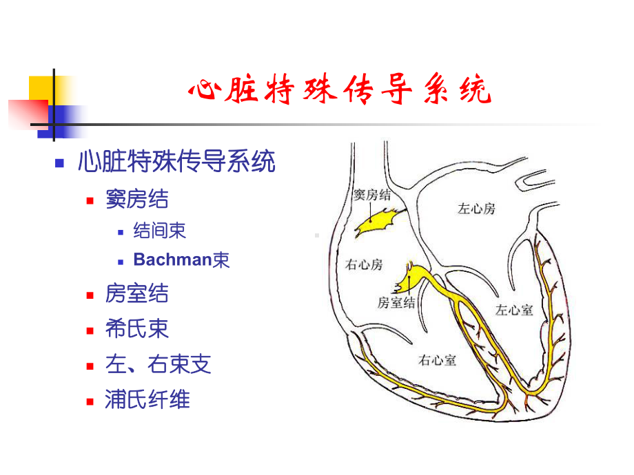 射频消融标测技术要点课件.ppt_第2页