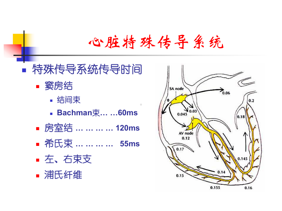 射频消融标测技术要点课件.ppt_第3页