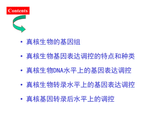 真核基因表达调控课件2.ppt