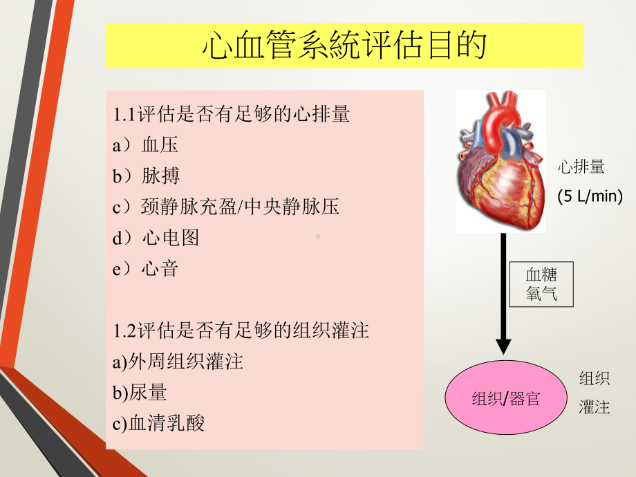 心血管系统评估(194张课件)-课件.pptx_第3页