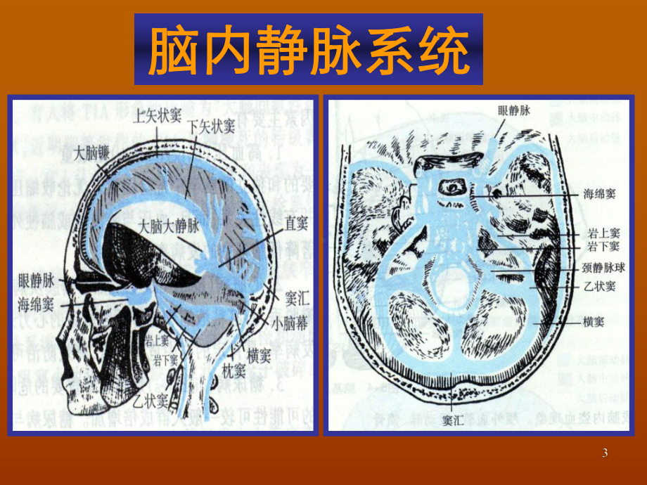 血管病神经保护治疗胡学强教学课件.ppt_第3页