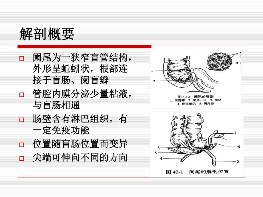 阑尾炎护理查房48646课件.pptx_第2页